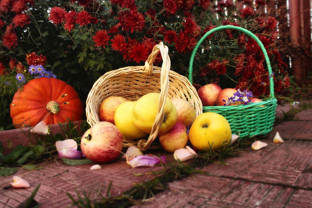 праздник урожая