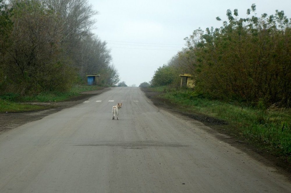 Photograph by Степанов Евгений