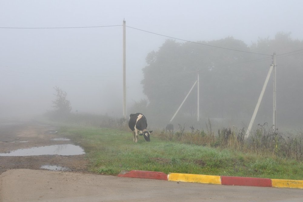 Photograph by Степанов Евгений