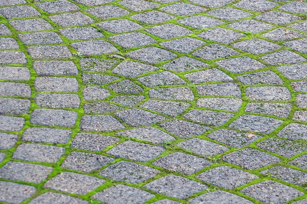 green moss between cobblestones