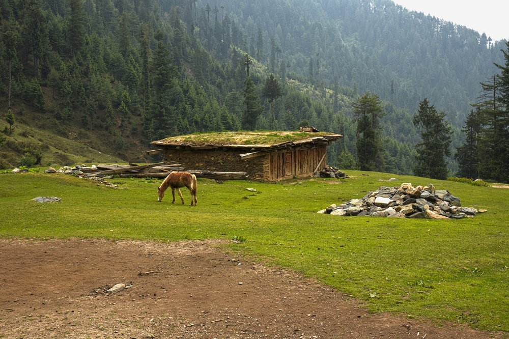 Photograph by anirudha