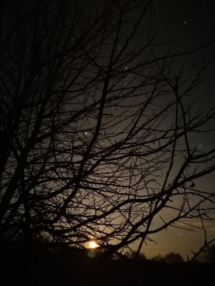 Фотография автора Иван Кириллов