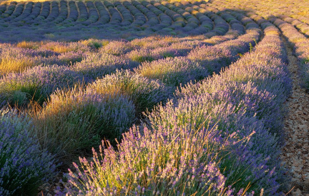 Photograph by Евгения Чех