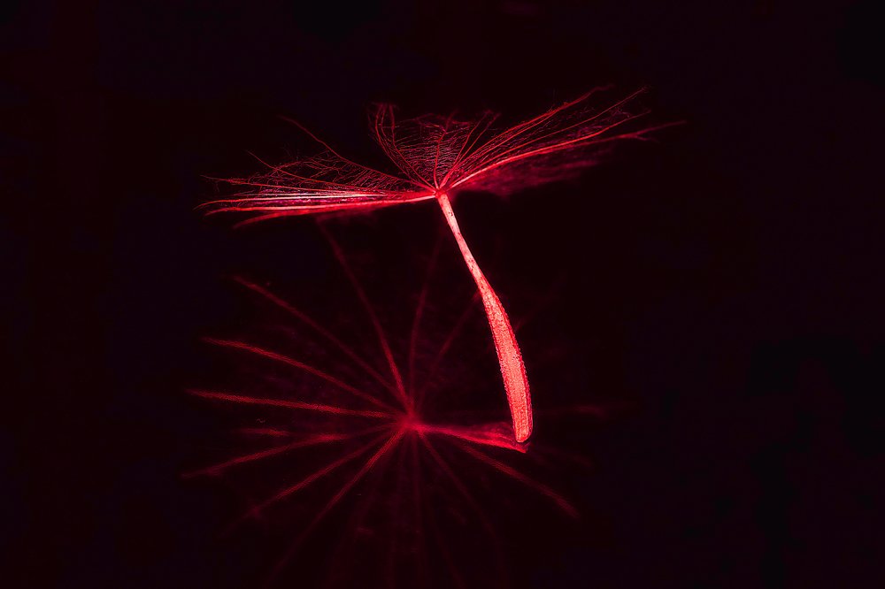 Photograph by Светлана Ковалёнок