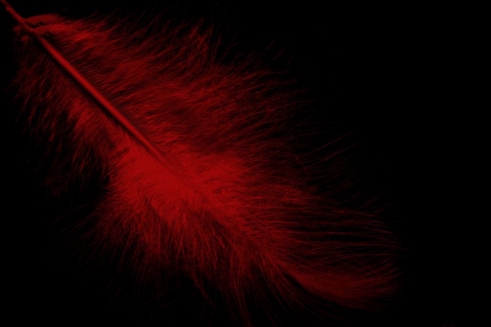 Photograph by Светлана Ковалёнок