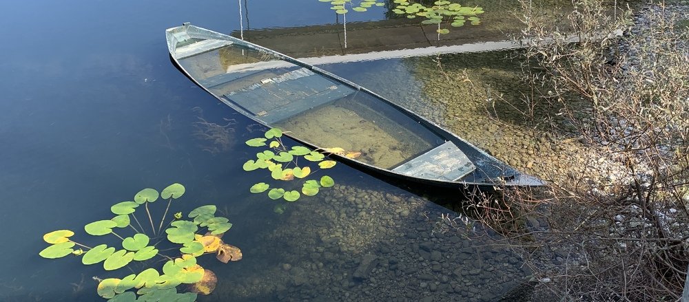 Photograph by Сергеева Татьяна