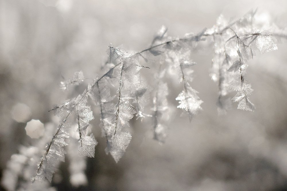 Photograph by Владимир Письмак