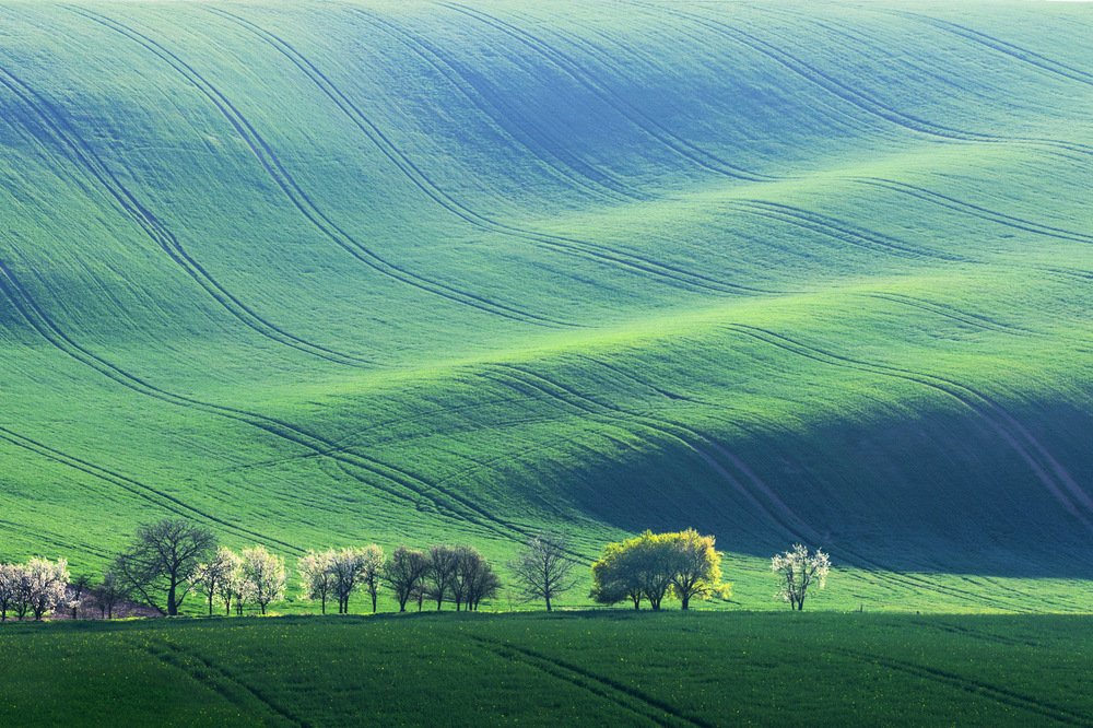 Photograph by Крицак Ольга