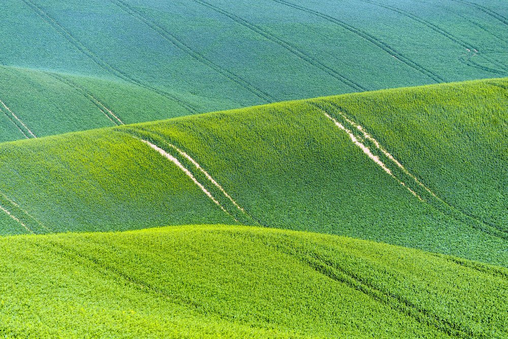 Photograph by Крицак Ольга