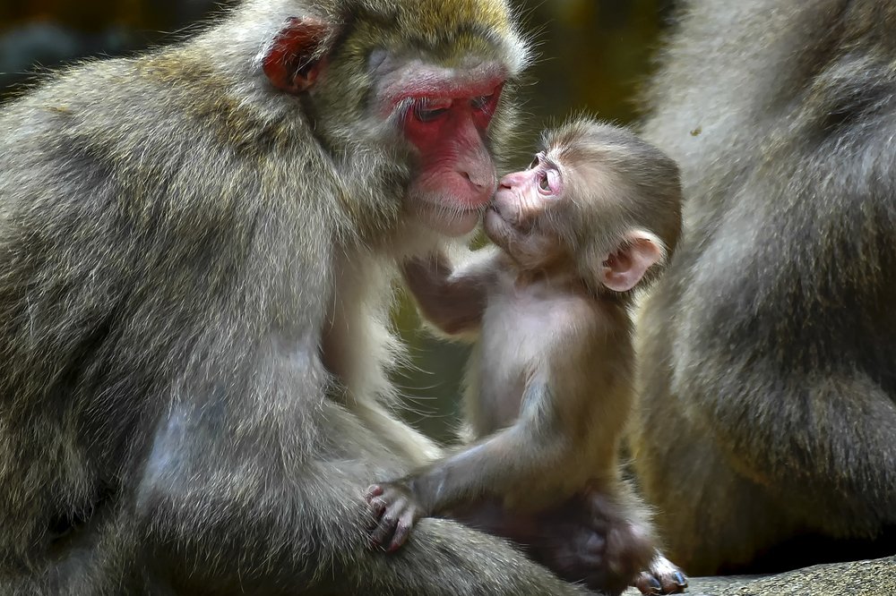 Photograph by Dikky Oesin