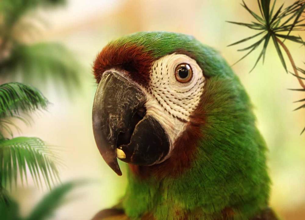 Photograph by Svetlana S.