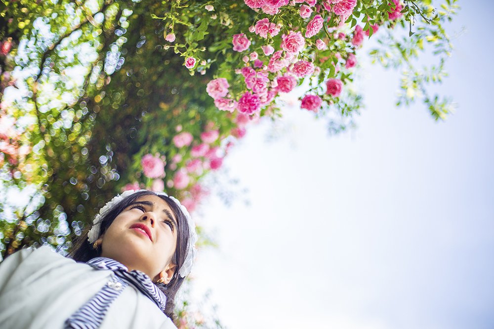 Photograph by Mohammad javad salehi