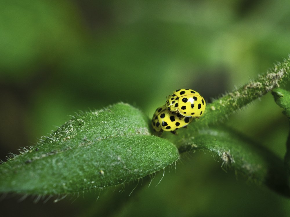 Photograph by muhamed borovic