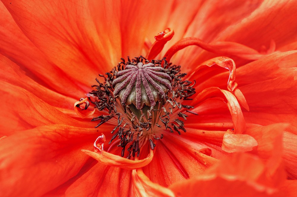 Photograph by Norbert Garaj