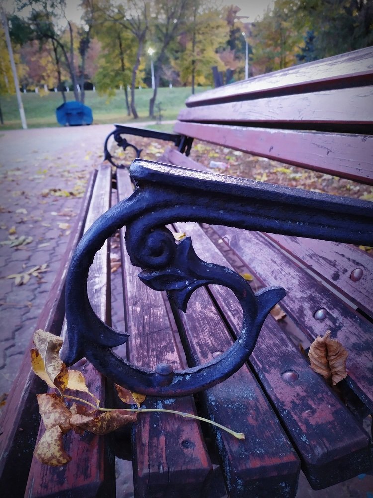 Одинокая скамейка