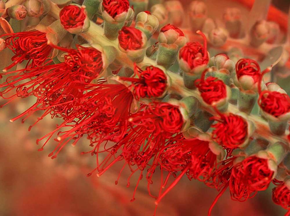 Photograph by Svetlana S.