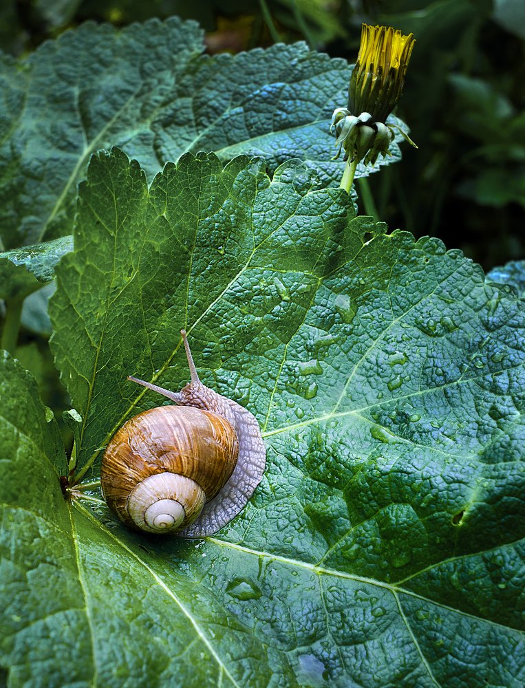 Photograph by muhamed borovic