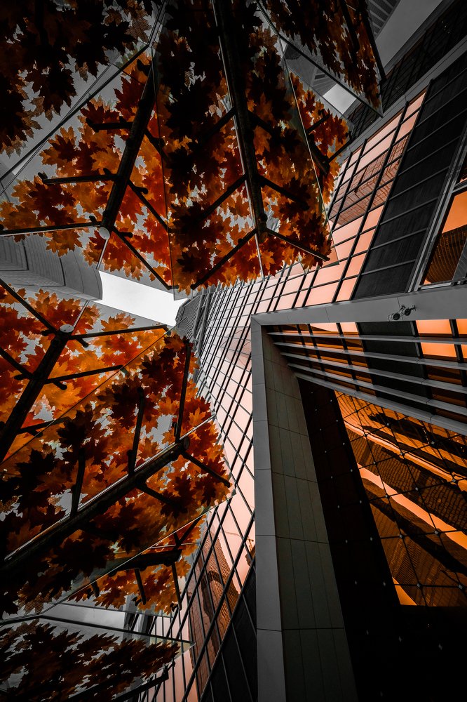 Photograph by Даниил Рождественский