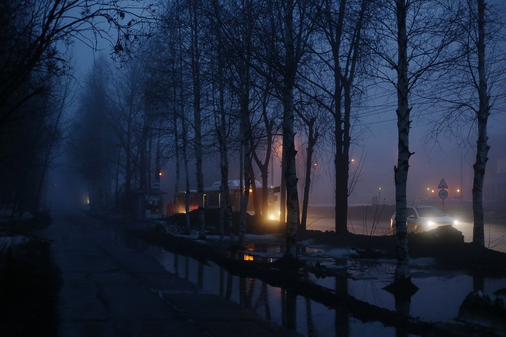 Photograph by Полина
