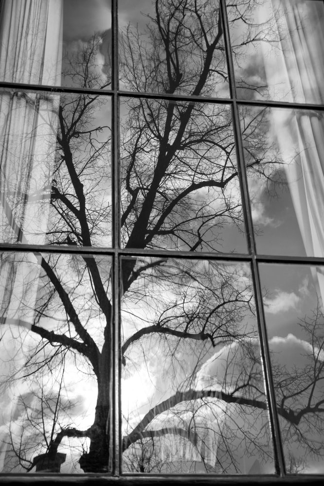 Photograph by vassilis ikoutas