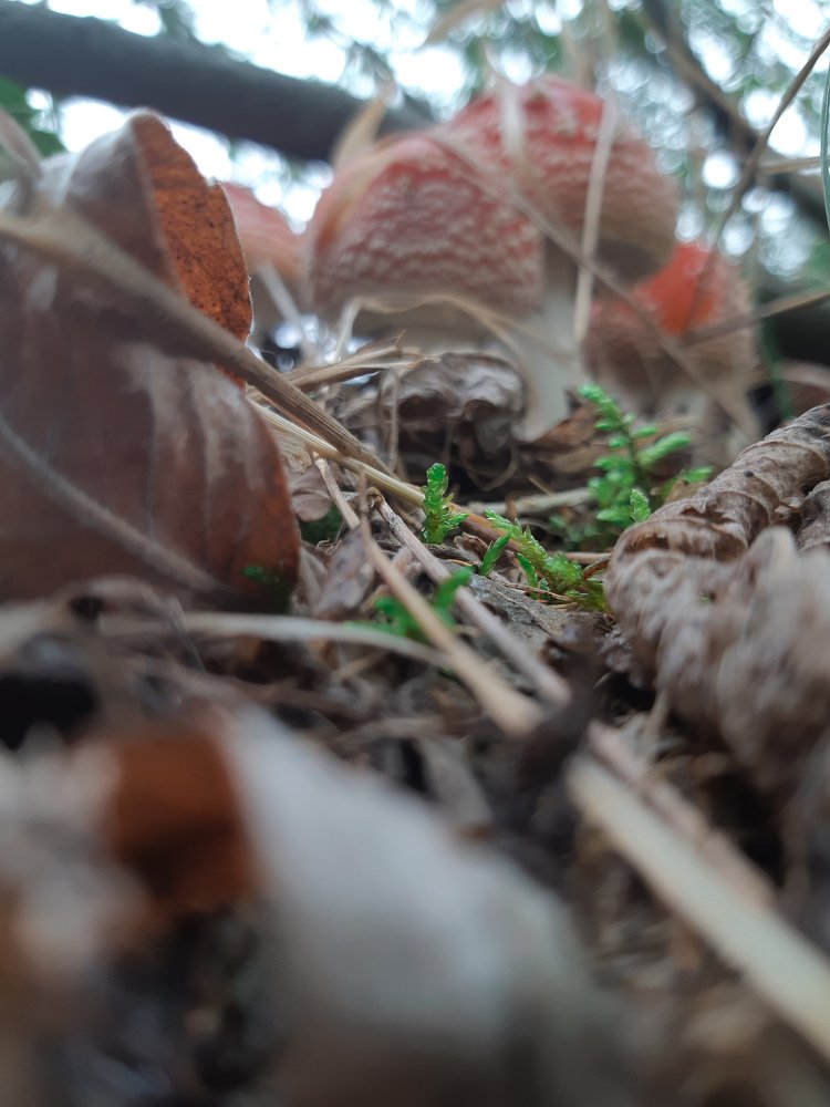 Фотография автора Наталина Семченко