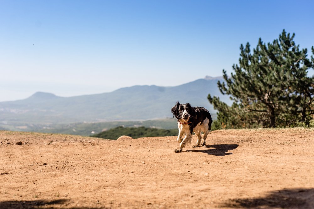Photograph by Ольга Волохова
