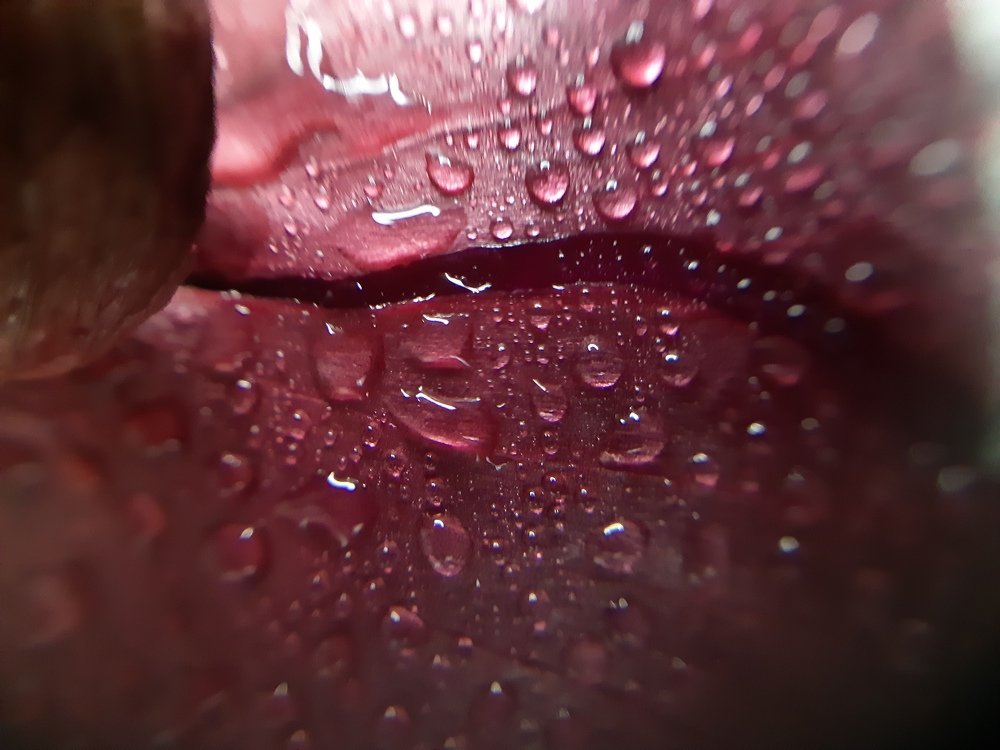 Фотография автора Наталина Семченко