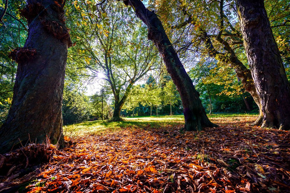 Photograph by Белов Сергей