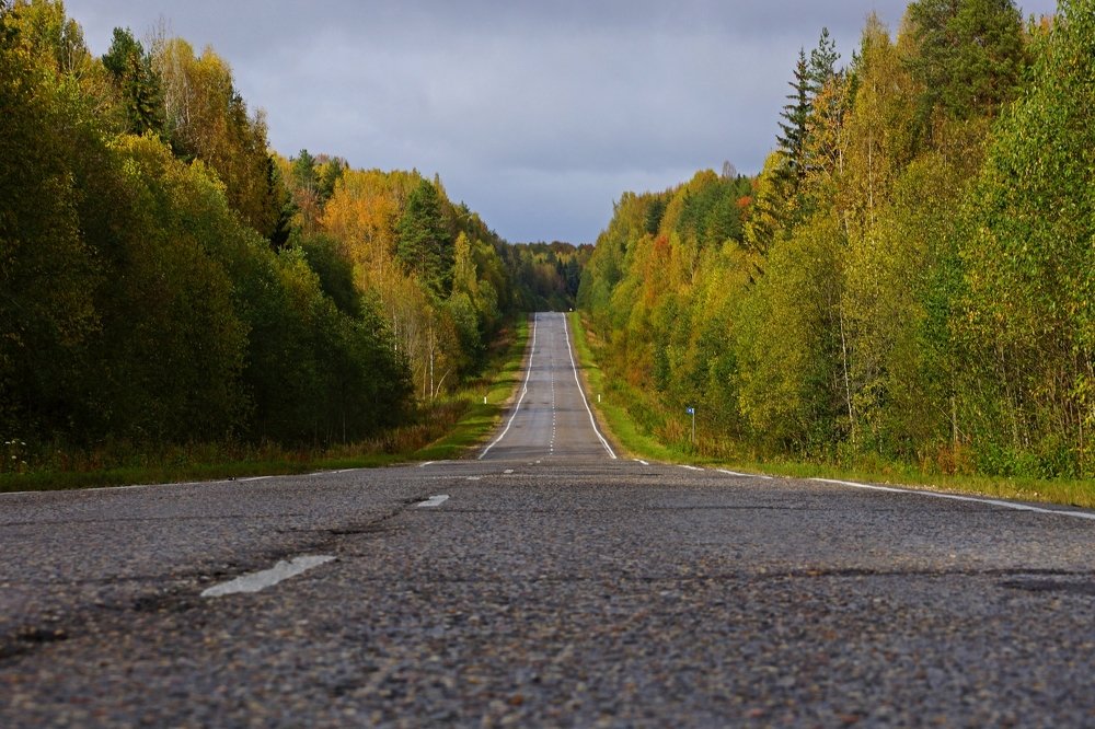 Небольшой гимн дорогам...