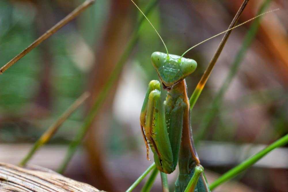 Photograph by Алексей Тимофеев