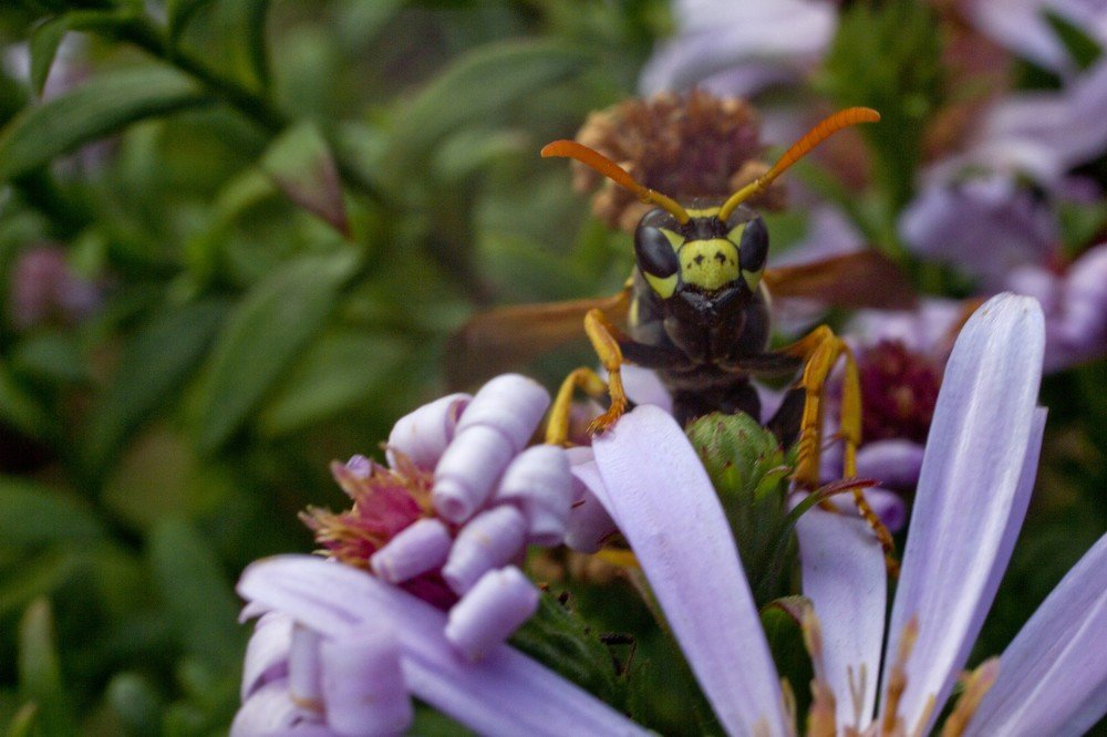 Photograph by Алексей Тимофеев