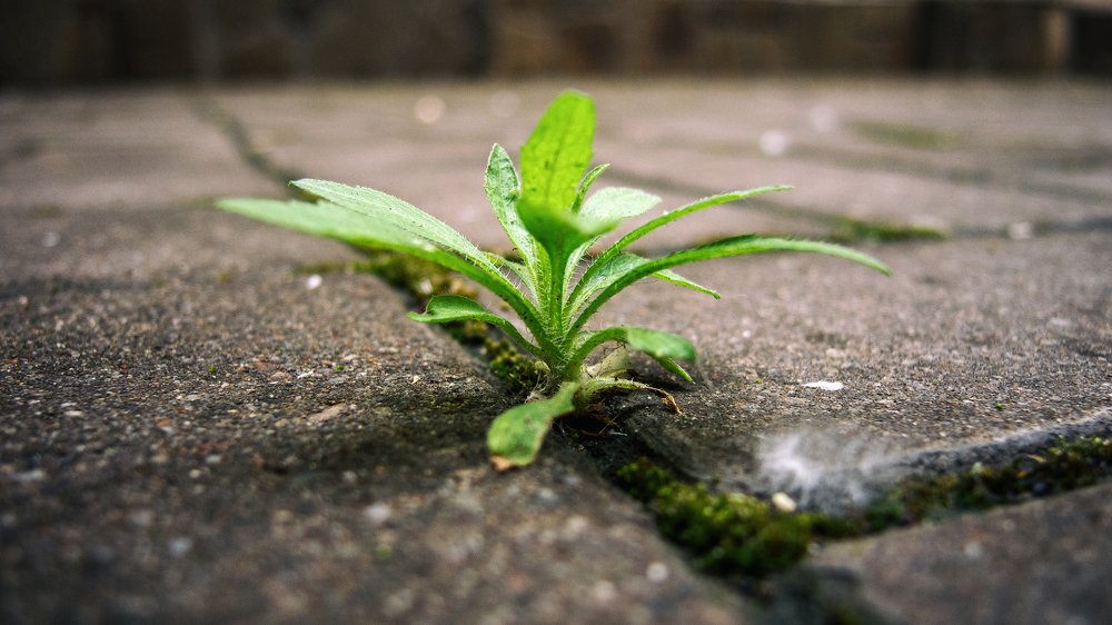 Photograph by Виталий Павлов