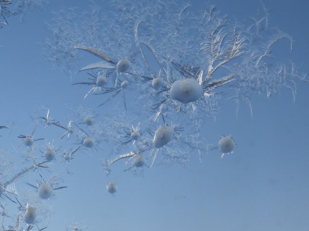 Морозные художества