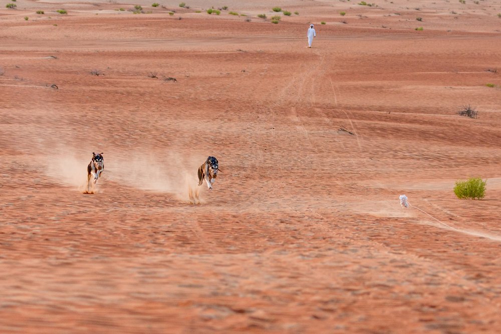 Photograph by Игорь Калинин