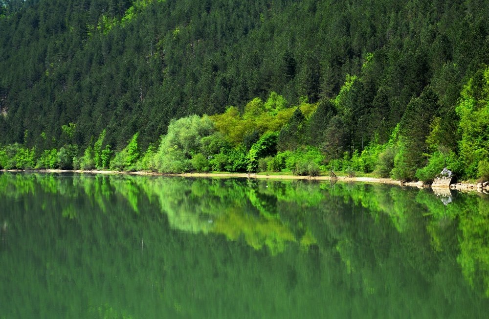 Photograph by Olja Simović