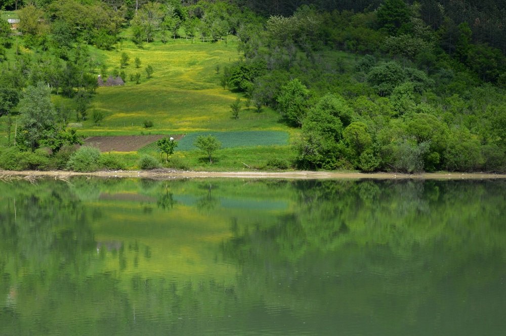 Photograph by Olja Simović