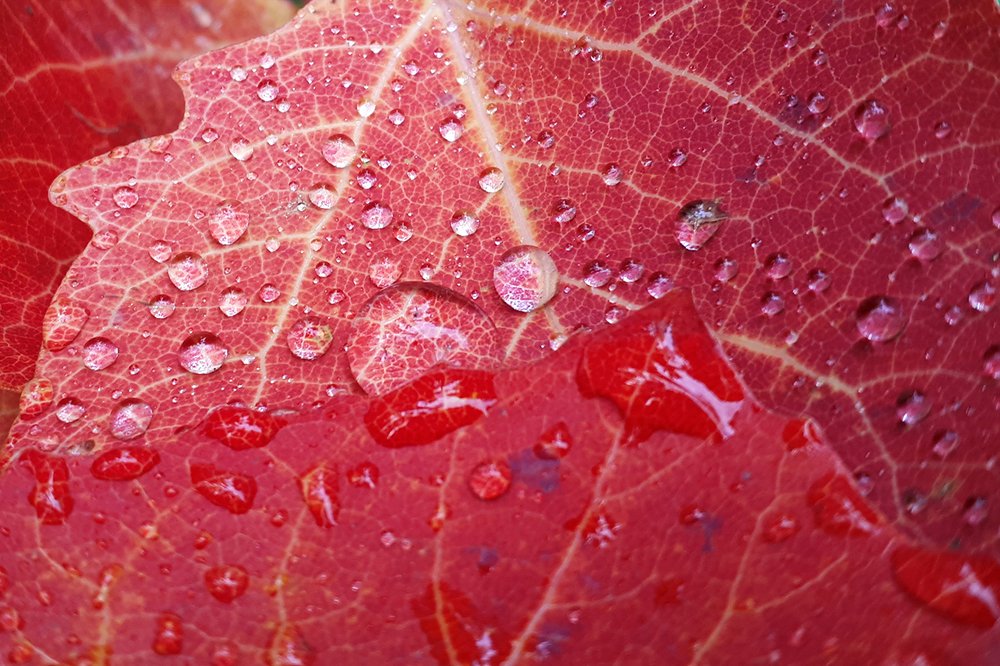 Photograph by Михаил Рассказ