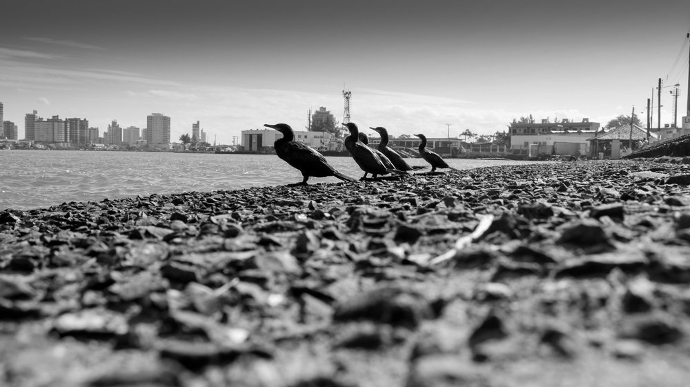 Photograph by renato laky