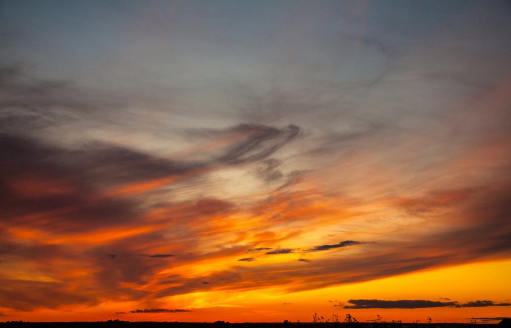 Небесный дракон