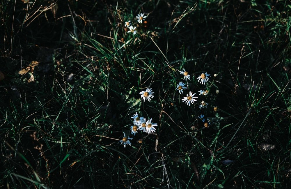 Photograph by Каталина Иванова