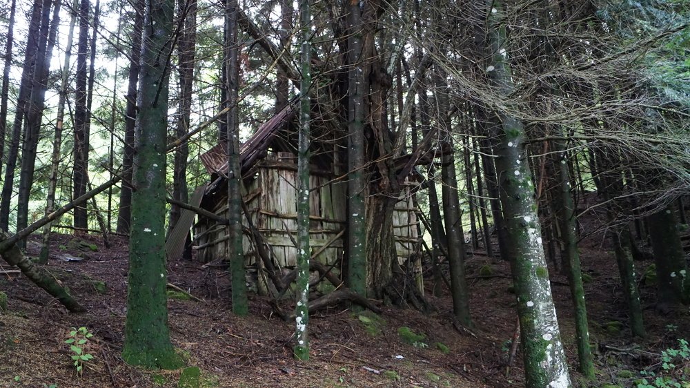 Photograph by Toomas Tõnisalu