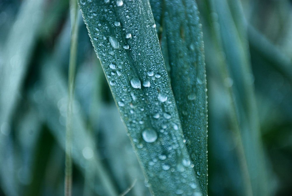 Photograph by sergio maritan