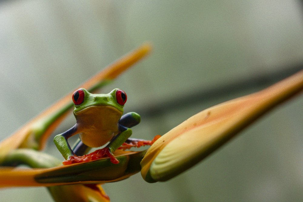 Photograph by Diana Macías