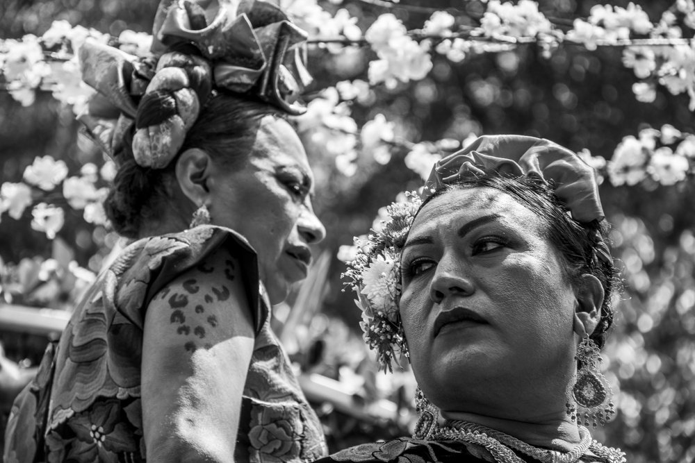 Photograph by Diana Macías