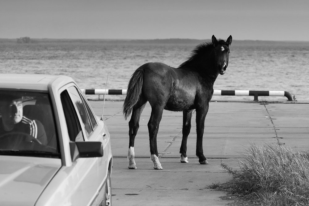 Photograph by Алексей Шамашов
