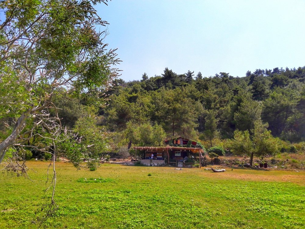 Photograph by Osama Khaleel