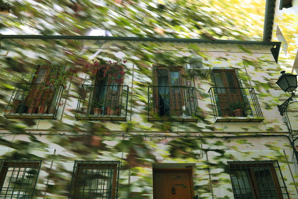 Photograph by игорь