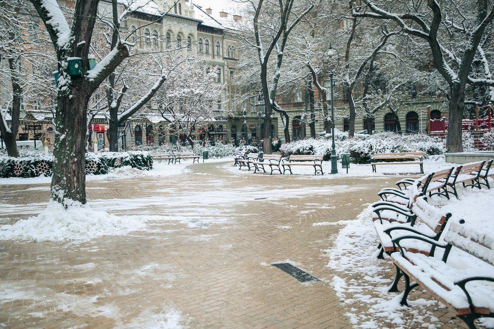 Photograph by Алексей