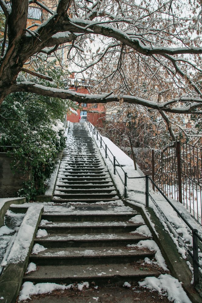 Photograph by Алексей