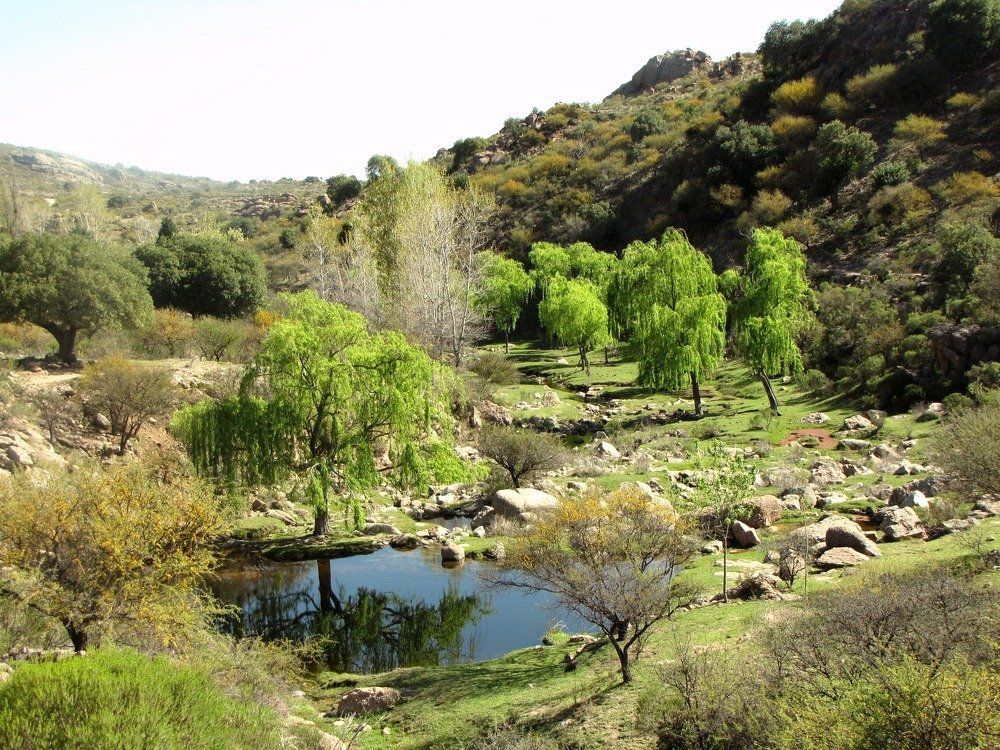 Photograph by Beatriz Games